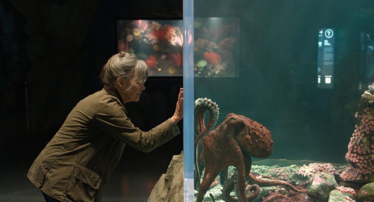 Remarkably Bright Creatures (2026) - Movie Review